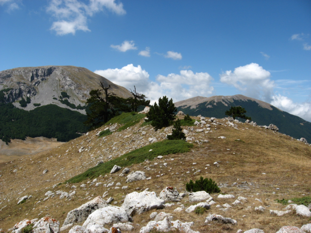 1200px-Monte_Pollino_e_Serra_del_Prete_dal_contrafforte_ovest_di_Serra_delle_Ciavole.