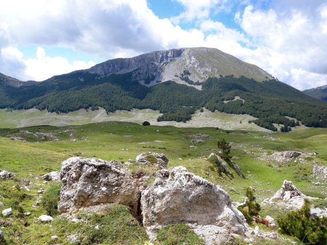 Monte_Pollino_(P.N.P.)-2